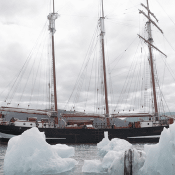 Daily Dive # 111 | Darwin200 Leg 11: Glaciers, Fjords, and Whales